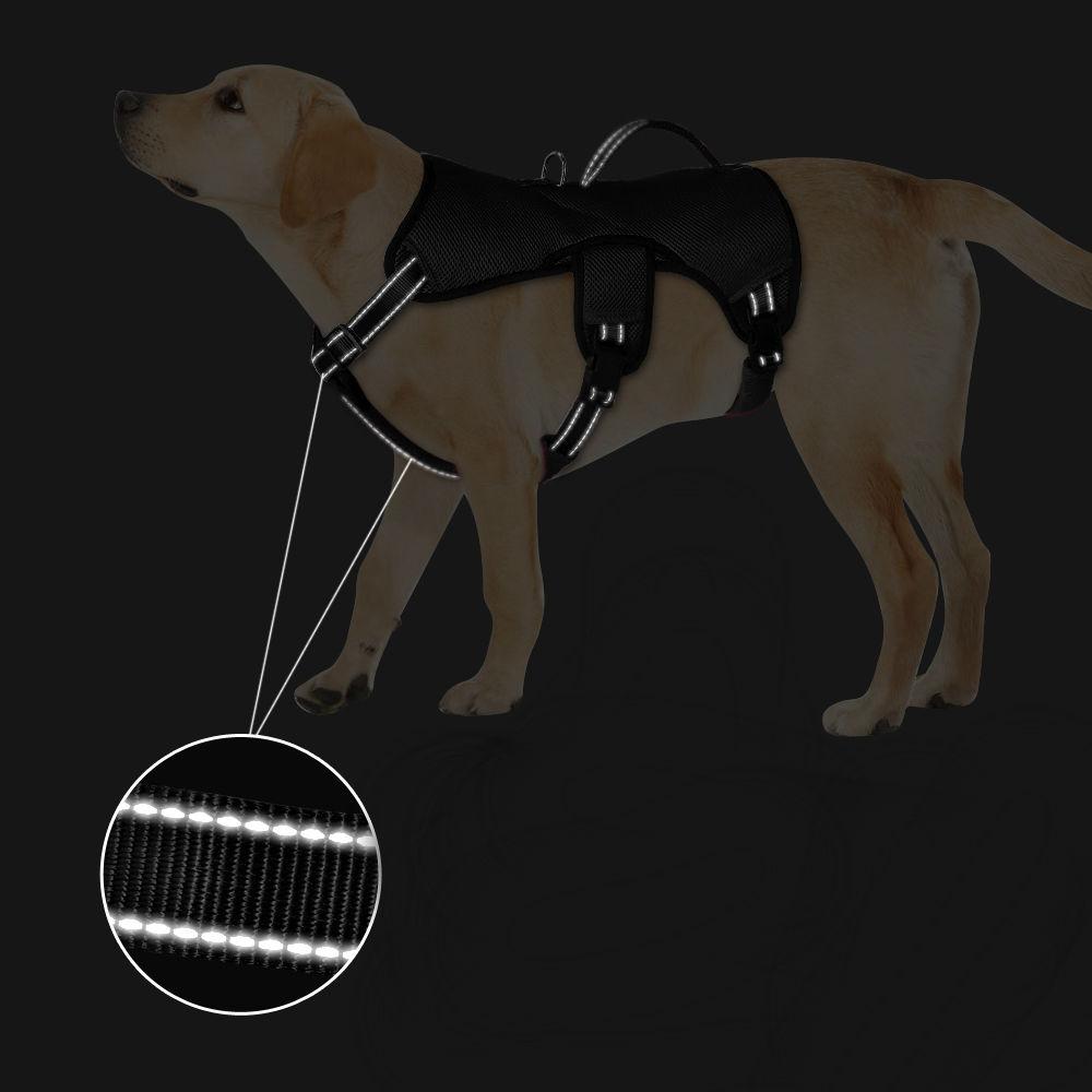 Adjustable Lifting Pet Support