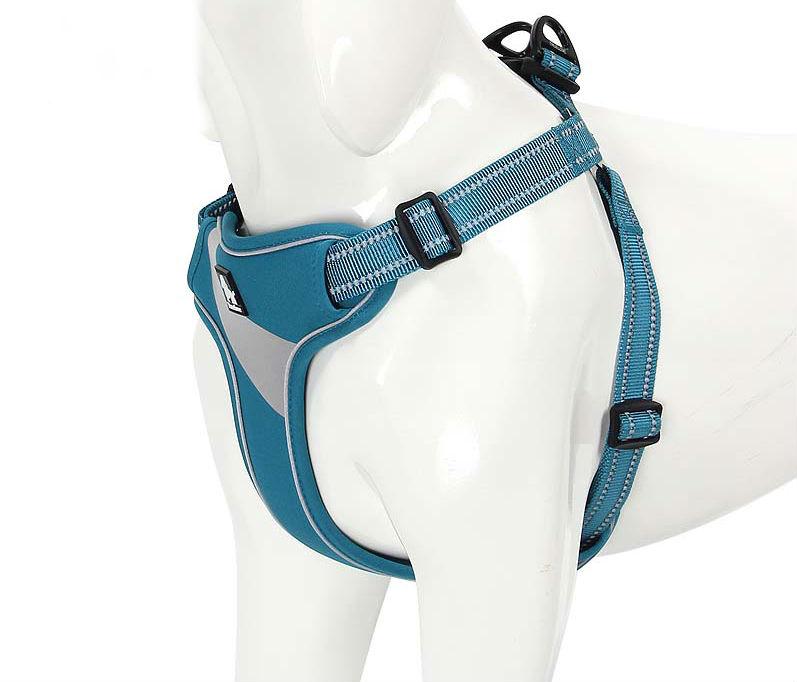 Pet Walking Support Harness