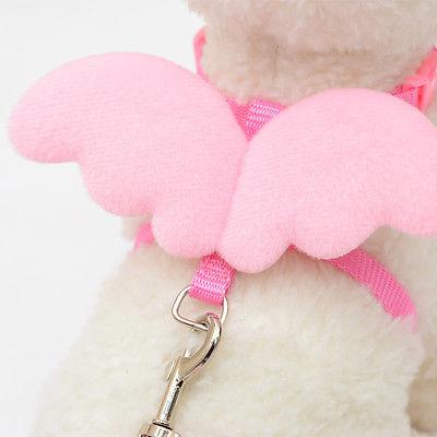 Cutie Wings Pet Harness