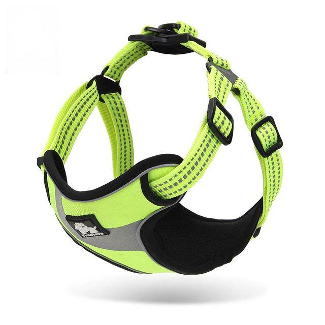 Pet Walking Support Harness