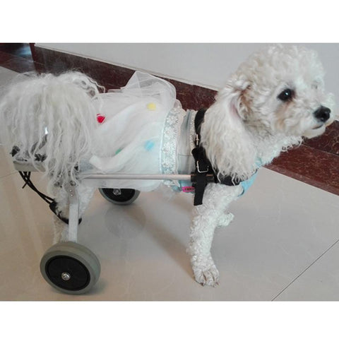 Awesome Pet Recovery Wheelchair