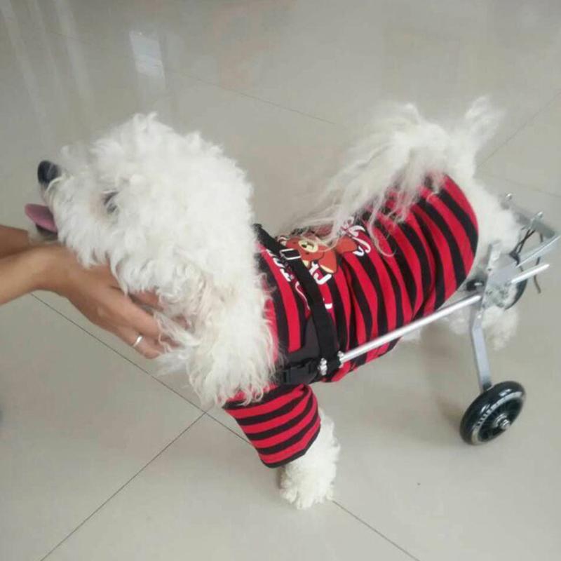 Awesome Pet Recovery Wheelchair