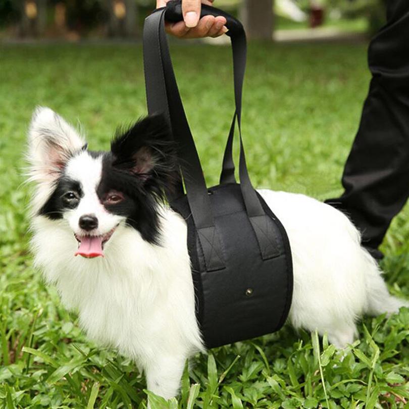 Pet Injured Support Harness