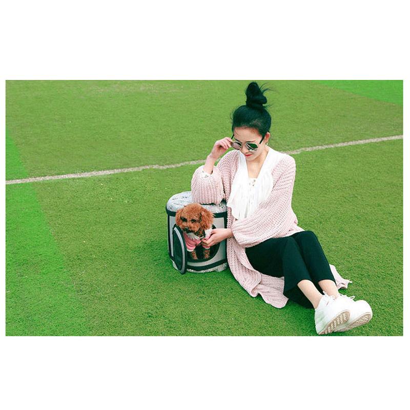 Mini Size Pet Carrier Handbag