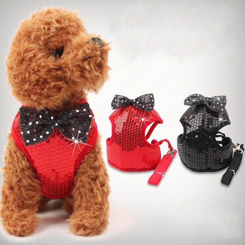 Fashion Shining Star Leash Support