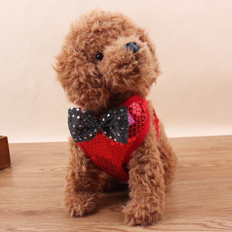 Fashion Shining Star Leash Support