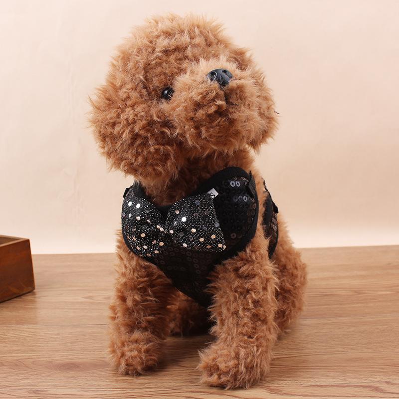 Fashion Shining Star Leash Support