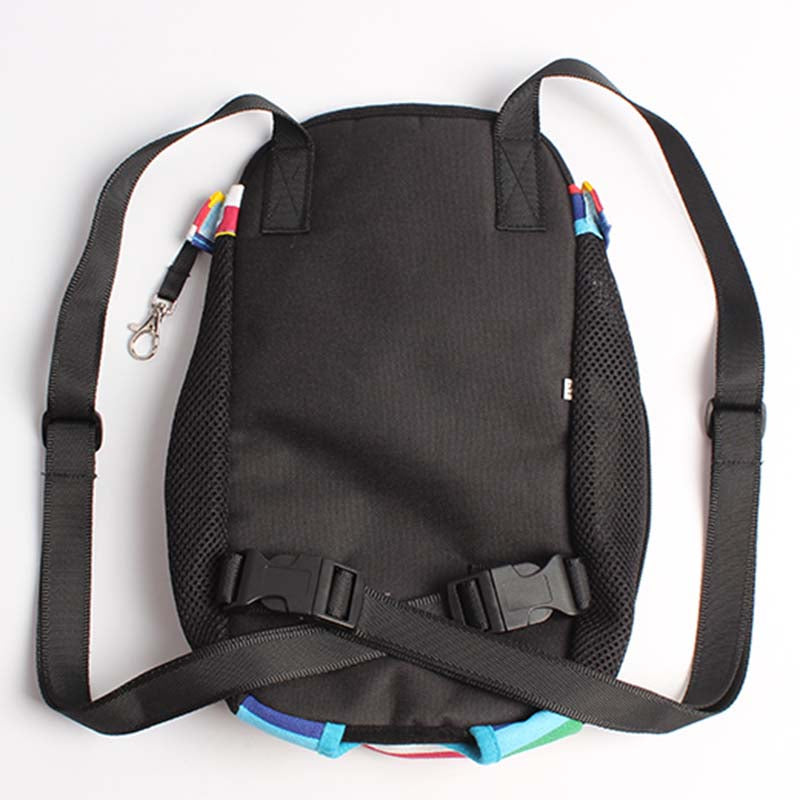 Convenient Back Pet Carrier