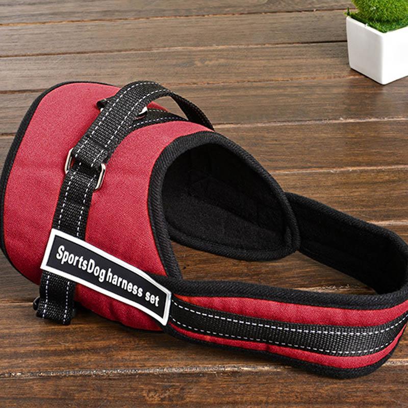 Chest Supporting  Pet Harness