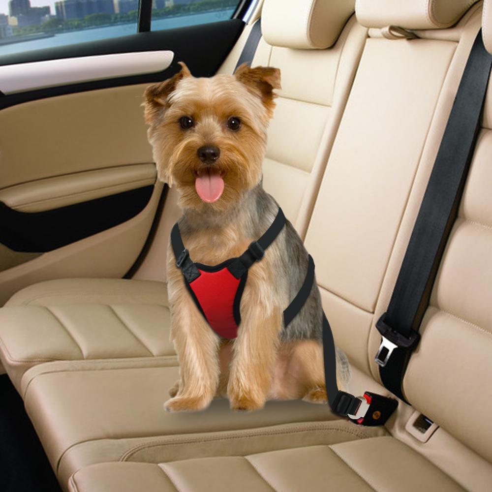 Soft Padded Seatbelt For Pets