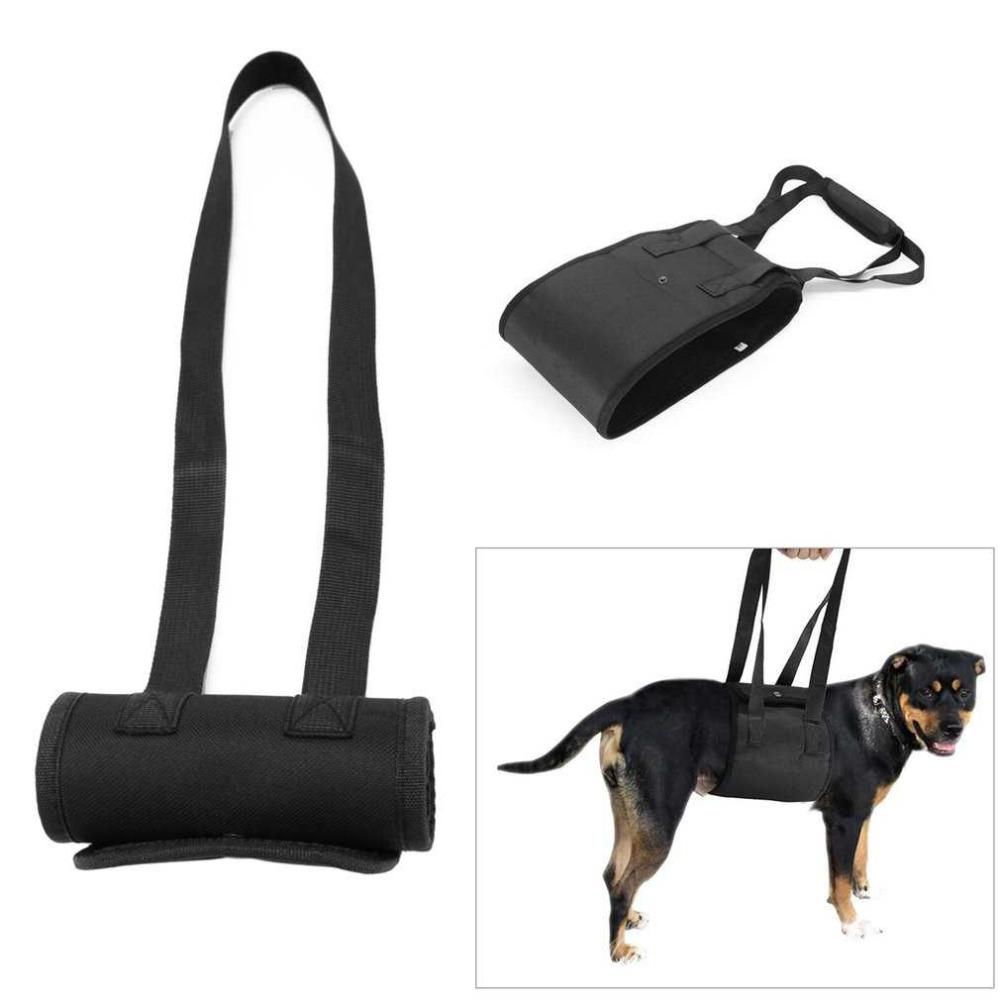 Easy Lifting Pet Harness