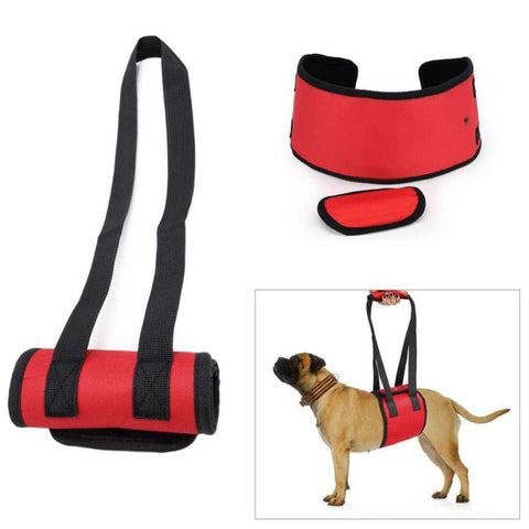 Easy Lifting Pet Harness
