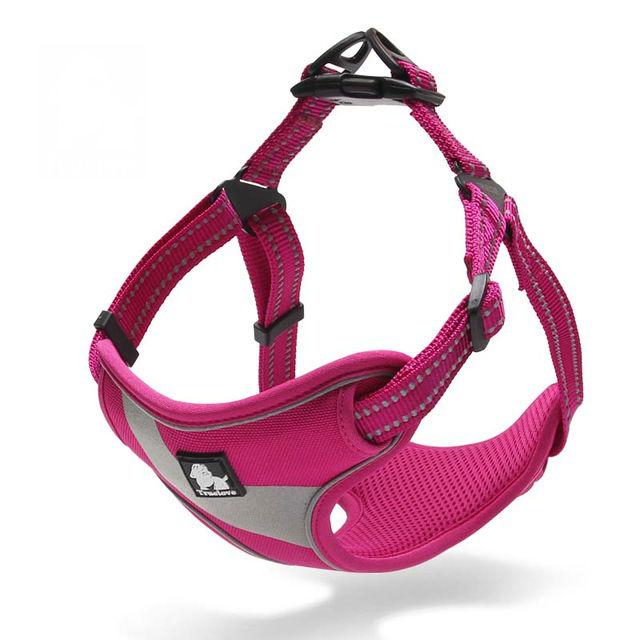 Pet Walking Support Harness