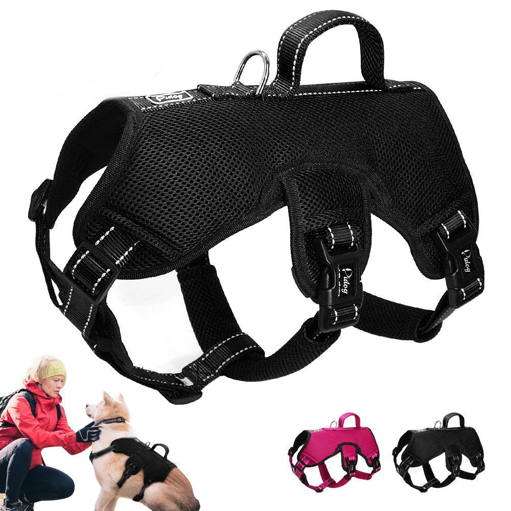 Adjustable Lifting Pet Support