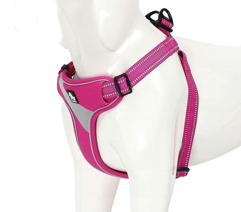 Pet Walking Support Harness