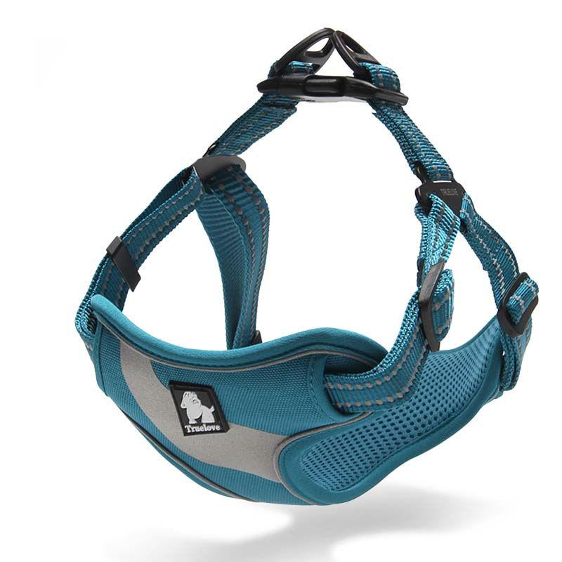 Pet Walking Support Harness