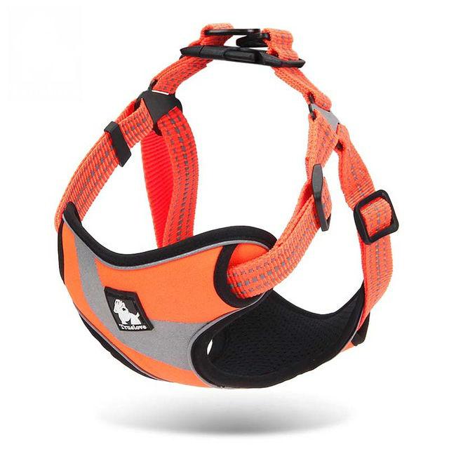Pet Walking Support Harness