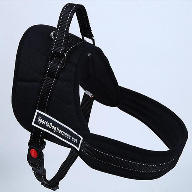 Chest Supporting  Pet Harness
