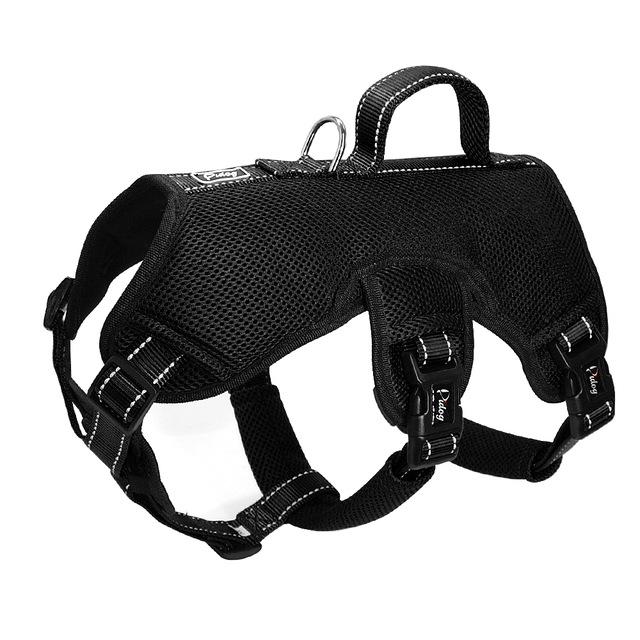 Adjustable Lifting Pet Support