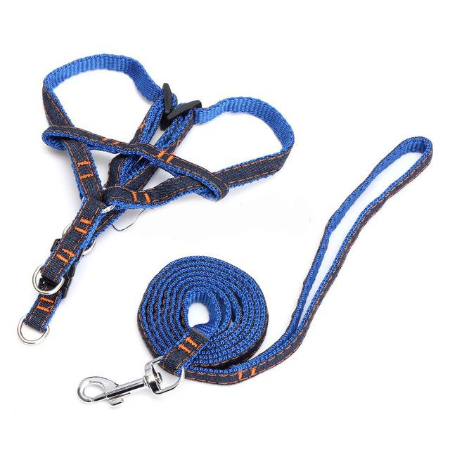 Adjustable Splitter Pet Support