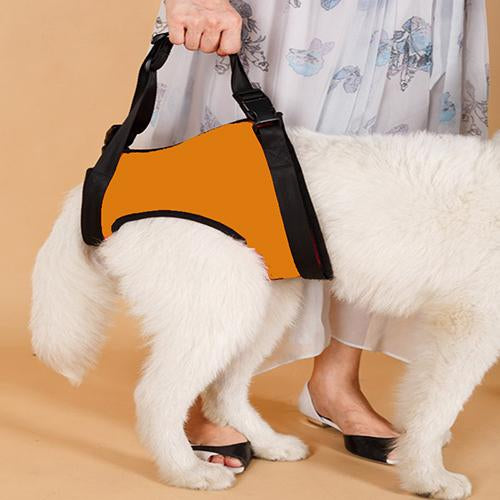 Elderly Dog Mobile Support