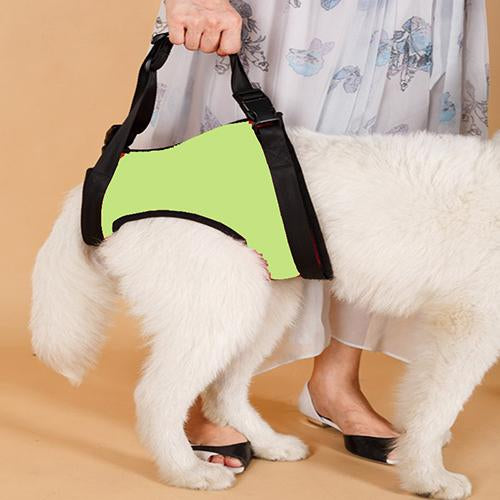 Elderly Dog Mobile Support
