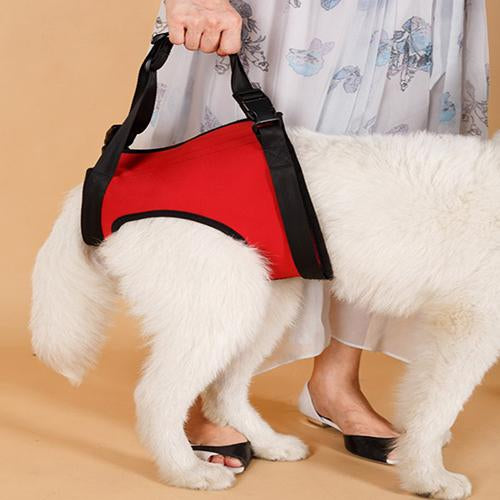 Elderly Dog Mobile Support